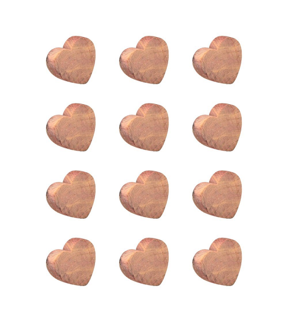CONJUNTO DE 12 ANEIS DE CEDRO OIKOS NATURAL - 1