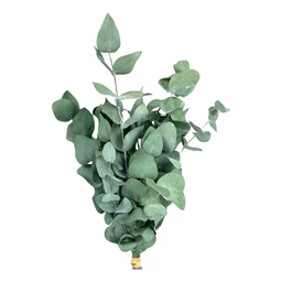 Mini Buquê Eucalipto de Flor de Corte Decoração Desidratada - 3