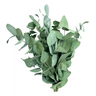 Mini Buquê Eucalipto de Flor de Corte Decoração Desidratada - 4