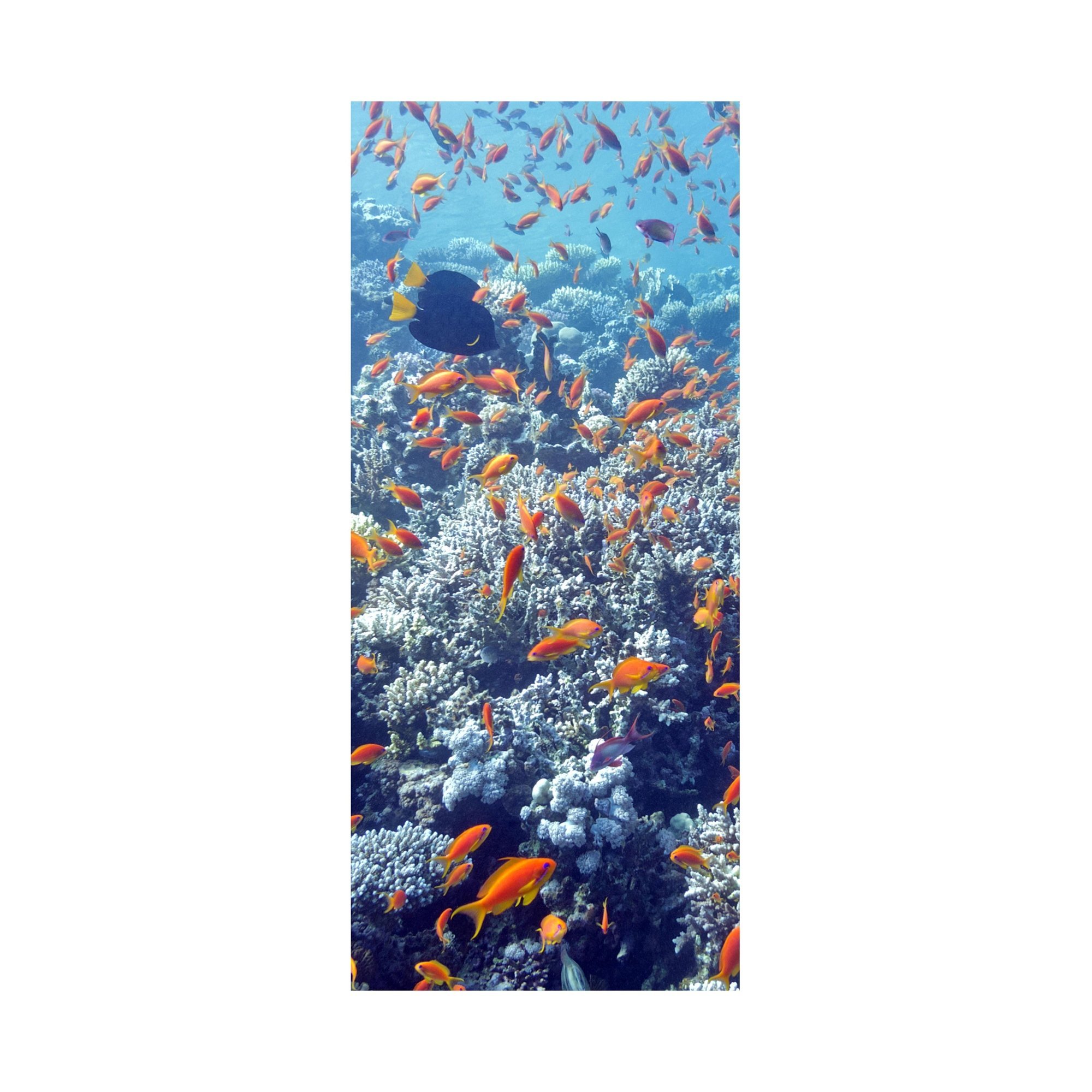 Adesivo Decorativo Porta Fundo do Mar Peixinhos Coral Azul
