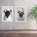 Ver imagem 2 de Kit 2 Quadros Divertidos para Banheiro Cães Pug 45x34cm:moldura Branca