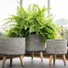 Conjunto 3 Vasos com Pés Grafite Mescla Plantas E Flores Decorativo - 2