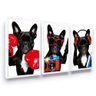 Kit Quadro Decorativo Bulldog Francês Moldura Sala - 1