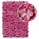 Ver imagem 6 de 22 Jardim Vertical Artificial 60x40 com Flores para Painel Decorativo de Ambientes