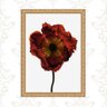 Quadro Moldura Dourada Flor Cor Vinho 45x34cm:com Acetato - 1