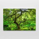 Ver mais imagens de Quadro Decorativo Paisagem Árvore Verde e Lago na Floresta Sala Quarto Casa Escritório