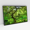 Ver imagem 5 de Quadro Decorativo Paisagem Árvore Verde e Lago na Floresta Sala Quarto Casa Escritório