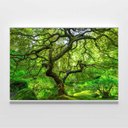 Ver imagem 4 de Quadro Decorativo Paisagem Árvore Verde e Lago na Floresta Sala Quarto Casa Escritório