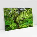 Ver imagem 7 de Quadro Decorativo Paisagem Árvore Verde e Lago na Floresta Sala Quarto Casa Escritório