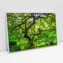 Ver imagem 3 de Quadro Decorativo Paisagem Árvore Verde e Lago na Floresta Sala Quarto Casa Escritório