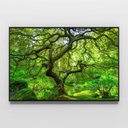 Ver imagem 6 de Quadro Decorativo Paisagem Árvore Verde e Lago na Floresta Sala Quarto Casa Escritório