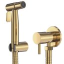 Ver imagem 2 de Ducha Higiênica Completa Acabamento em Dourado Goldenx