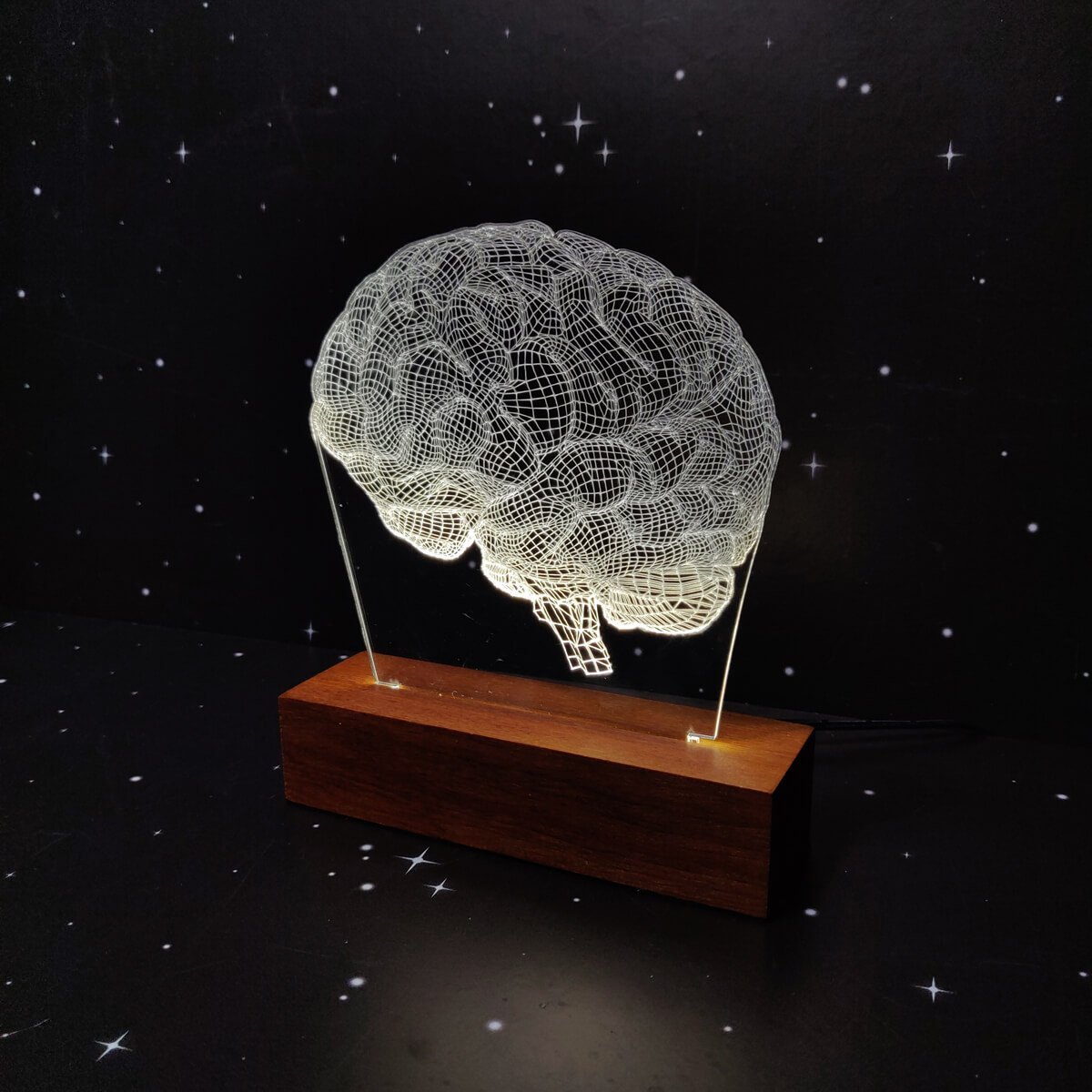 Luminária Cérebro Woodhead luminaria acrilico com base - 3