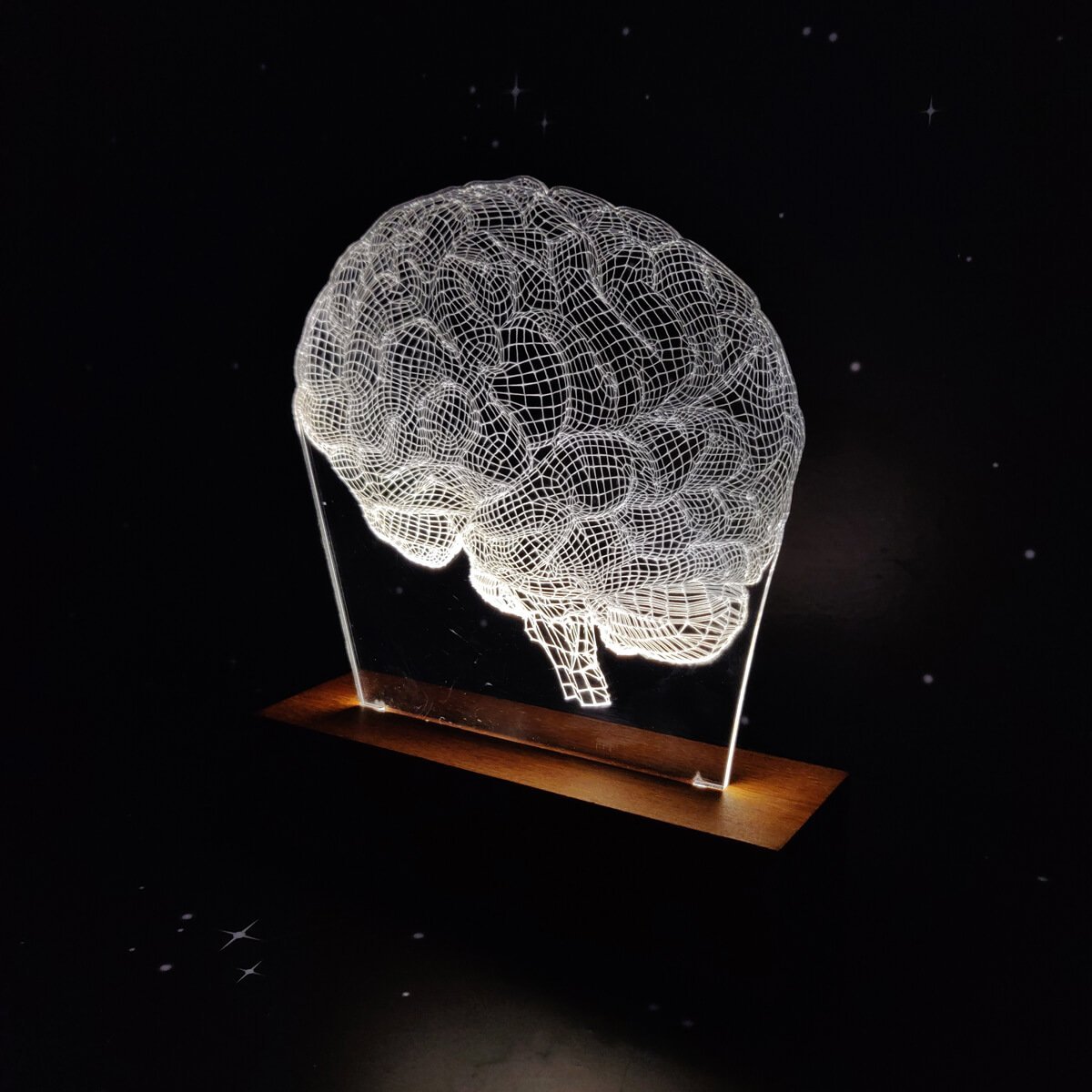 Luminária Cérebro Woodhead luminaria acrilico com base - 2