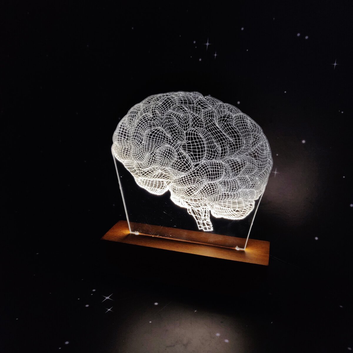 Luminária Cérebro Woodhead luminaria acrilico com base