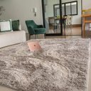 Ver imagem 1 de Tapete para Sala Belos Pelos Antialérgico Retangular Cinza Casen 300x200cm