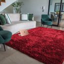 Ver imagem 1 de Tapete para Sala Belos Pelos Antialérgico Retangular Vermelho Casen 300x200cm