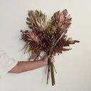Ver imagem 1 de Buquê de Folhas Envelhecidas de Guaimbé, Bromélias e Proteas 65cm | Beleza Atemporal Formosinha