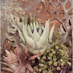 Buquê de Folhas Envelhecidas de Guaimbé, Bromélias e Proteas 65cm | Beleza Atemporal Formosinha - 5