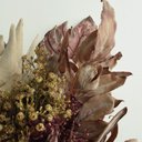 Ver imagem 4 de Buquê de Folhas Envelhecidas de Guaimbé, Bromélias e Proteas 65cm | Beleza Atemporal Formosinha