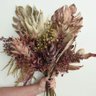 Buquê de Folhas Envelhecidas de Guaimbé, Bromélias e Proteas 65cm | Beleza Atemporal Formosinha - 3