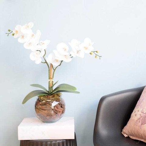 Arranjo de Orquídeas Branca Toque Real no Vaso Transparente| Linha Permanente Formosinha