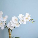 Ver imagem 3 de Arranjo de Orquídeas Branca Toque Real no Vaso Transparente| Linha Permanente Formosinha