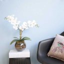 Ver imagem 5 de Arranjo de Orquídeas Branca Toque Real no Vaso Transparente| Linha Permanente Formosinha