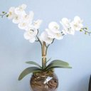 Ver imagem 4 de Arranjo de Orquídeas Branca Toque Real no Vaso Transparente| Linha Permanente Formosinha