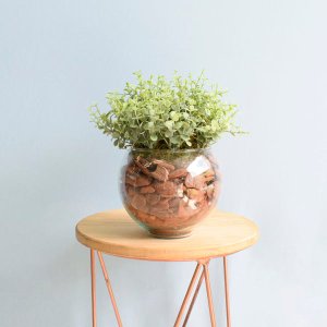 Arranjo de Folhagem Artificial no Vaso de Vidro Pequeno|Linha Permanente Formosinha