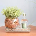 Ver imagem 2 de Arranjo de Folhagem Artificial no Vaso de Vidro Pequeno|Linha Permanente Formosinha