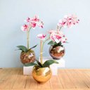 Ver imagem 5 de Arranjo de Orquídea Artificial 3D Tigre no Vaso Transparente | Linha Permanente Formosinha