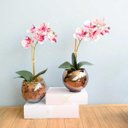Ver imagem 4 de Arranjo de Orquídea Artificial 3D Tigre no Vaso Transparente | Linha Permanente Formosinha