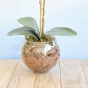 Ver imagem 2 de Arranjo Artificial de Orquídea Branca de Silicone no Vaso Transparente | Linha Permanente