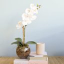Ver imagem 4 de Arranjo Artificial de Orquídea Branca de Silicone no Vaso Transparente | Linha Permanente