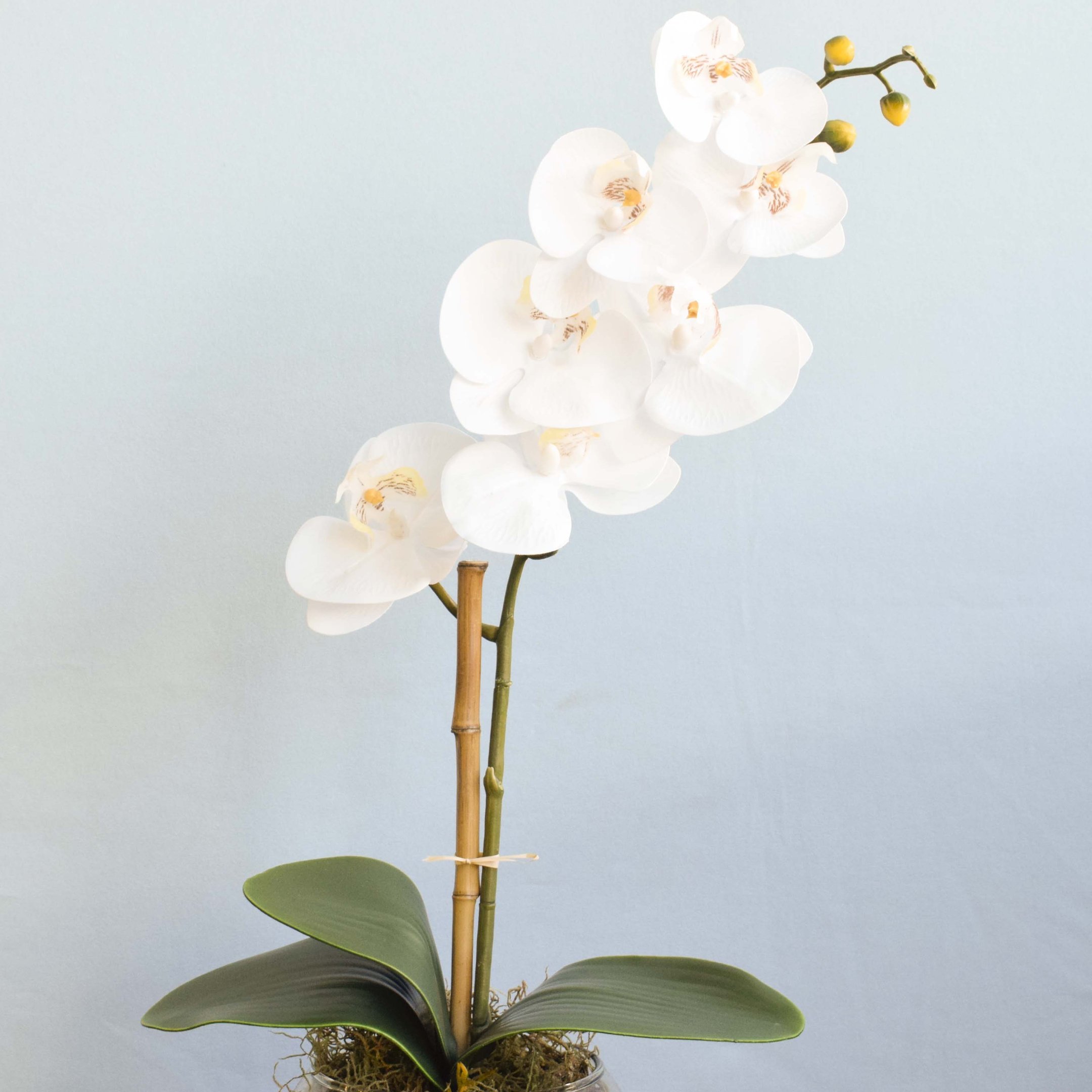Arranjo Artificial de Orquídea Branca de Silicone No Vaso Transparente | Linha Permanente - 5