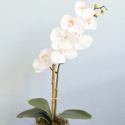 Arranjo Artificial de Orquídea Branca de Silicone no Vaso Transparente | Linha Permanente - 5