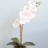 Arranjo Artificial de Orquídea Branca de Silicone no Vaso Transparente | Linha Permanente - 5