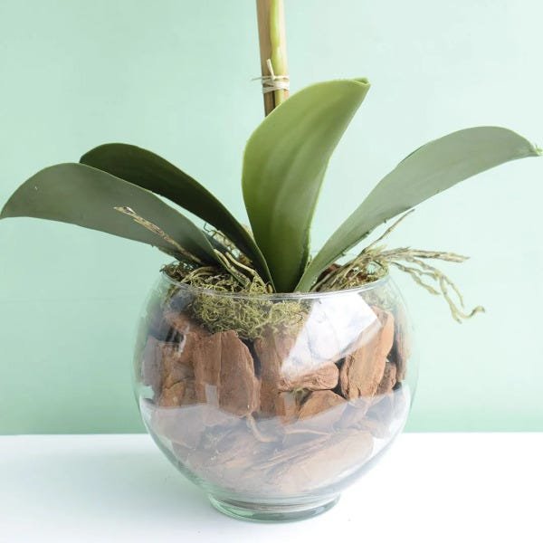Arranjo de Orquídea Rosa 3D no Vaso de Vidro Pequeno | Linha Permanente Formosinha - 5