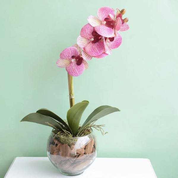 Arranjo de Orquídea Rosa 3D no Vaso de Vidro Pequeno | Linha Permanente Formosinha