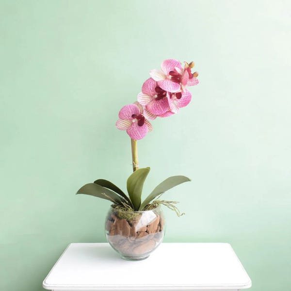 Arranjo de Orquídea Rosa 3D no Vaso de Vidro Pequeno | Linha Permanente Formosinha - 2