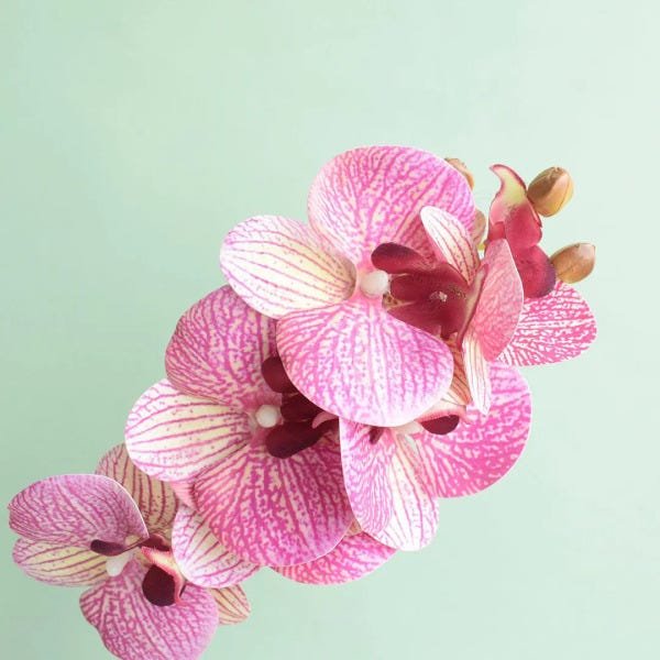 Arranjo de Orquídea Rosa 3D no Vaso de Vidro Pequeno | Linha Permanente Formosinha - 3