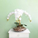 Ver imagem 5 de Arranjo de Flores Artificiais | Orquídeas Brancas Artificial no Vaso Terrário Transparente