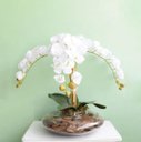 Ver imagem 1 de Arranjo de Flores Artificiais | Orquídeas Brancas Artificial no Vaso Terrário Transparente