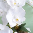 Ver imagem 4 de Arranjo de Flores Artificiais | Orquídeas Brancas Artificial no Vaso Terrário Transparente