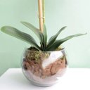 Ver imagem 6 de Arranjo de Orquídea Artificial Rosa no Vaso Transparente| Linha Permanente Formosinha