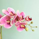 Ver imagem 5 de Arranjo de Orquídea Artificial Rosa no Vaso Transparente| Linha Permanente Formosinha