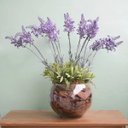 Ver imagem 1 de Arranjo Floral Artificial - Arranjo de Lavandas no Vaso de Vidro | Linha Permanente Formosinha