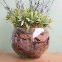 Ver imagem 3 de Arranjo Floral Artificial - Arranjo de Lavandas no Vaso de Vidro | Linha Permanente Formosinha