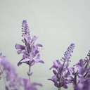 Ver imagem 4 de Arranjo Floral Artificial - Arranjo de Lavandas no Vaso de Vidro | Linha Permanente Formosinha